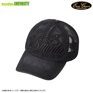 Go[O[ EVERGREEN@MS-modo bVLbv ubN y܂Ƃߑz