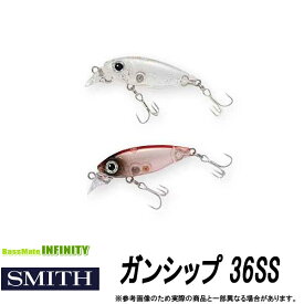 ●スミス SMITH　ガンシップ 36SS(スローシンキング) (2) 【メール便配送可】 【まとめ送料割】