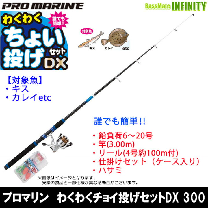 楽天市場】【在庫限定54％OFF】プロマリン わくわく ちょい投げセット 