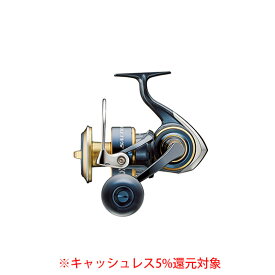 楽天市場 ダイワ ソルティガ Pe 12の通販