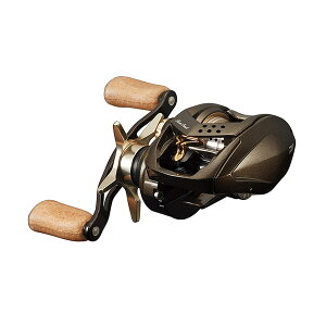 _C@Vo[N[N GA TW Xg[JX^ 8.5R (Enh) y܂Ƃߑz