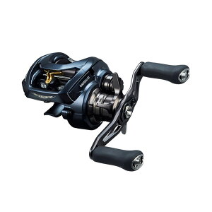 ダイワ スティーズ A II TW 1000XHL (リール) 価格比較 - 価格.com