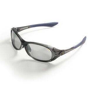 eBR@TCg}X^[ gh O[X[NPRO (LG^Vo[~[) ؑvf y܂Ƃߑz