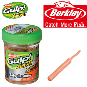 o[NC Berkley@Kv ACu xr[T[fB 2C` (GAJBSDN2) W[^Cv y܂Ƃߑz