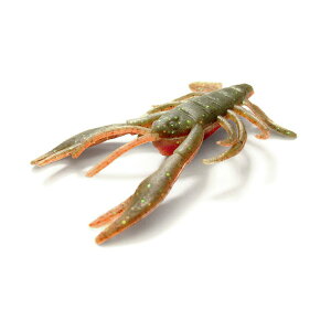 o[NC Berkley@Gulp Kv \gEH[^[ Nr[ 2C` G2SQCRBY2 y[֔zz y܂Ƃߑz