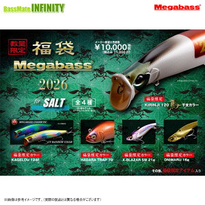 yzy\񏤕izKoX@2026N \g Megabass for SALT@12{ח\