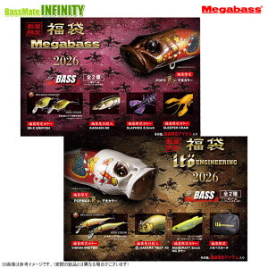 yzy\񏤕izKoX@2026N oX uMegabass for BASSvuito ENGINEERING for BASSv 2Zbg@12{ח\