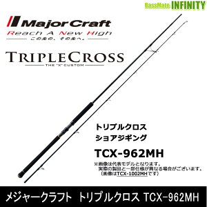 W[Ntg@gvNX TCX-962MH VAWMOf