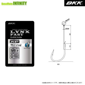 ��BKK�@�W�M���O�t�b�N LYNX FAST �����N�X �t�@�X�g �V���O�� �y���[���֔z���z �y�܂Ƃߑ������z