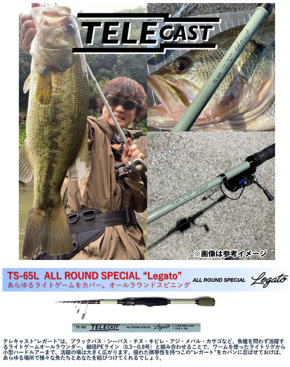 楽天市場】○【送料無料】レジットデザイン テレキャスト TS-65L 