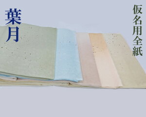 yȑSzwtx H  Ŝڂ ؔqU ׎ S5F 70×135cm 10 pi