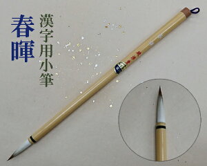 y[։zyLMzwt()xM p C^`  pi