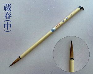 y[։zyLMzwt()x()p M C^`  pi