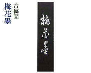 yÔ~zwɏ~Ԗn(3^)xŌ^n Ō`n ؎ pi