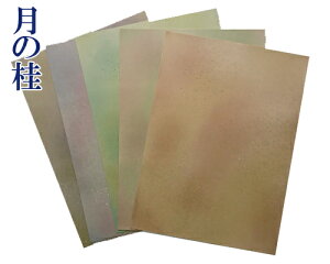 ySzw̌jx  H  ⍻q Fڂ ^ 10 S5 pi