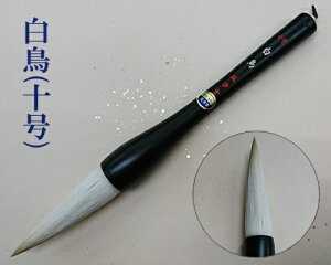 ypMzw(10)xM _}M n ptH[}Xp pi