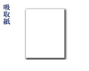 ypizz掆 BLOTTING PAPER  n 234×318mm 10