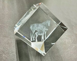 yxzNX^  2026N L[u^ ߘa8N n Mtg 蕨 y[p[EFCg pi