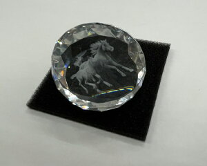 yxzNX^  n 2026N ߘa8N _ChJbg ی^ Tubg 蕨 y[p[EFCg ypiz