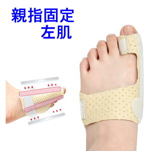 w Œ  T|[^[ wT|[^[ w  A~jE p`OʋC݌v wی  nr w wŒ MuX w lw w w (wŒj