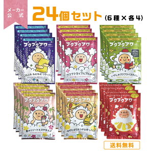 ouoX  lߍ킹 uNuNA[ oGeB 24Zbgi6×e4j AC   A C ouoX q v`Mtg aj zj ԂԂ[