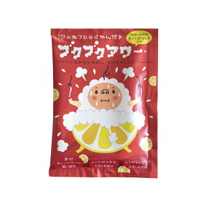 ԗDǃVbv ouoX  Iׂ uNuNA[ 12Zbg AC ԂԂ[ v[g  j Mtg  IV bNX  Y  AC 