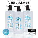 ＼マラソン限定★クーポン＆P10倍／【3本セット】クール ボディソープ 氷的クール 1L 冷感 COOL 夏用 メントール ハッカ ミント ヒアルロン酸 ボトル 大容量 スーパー銭湯 温浴 ボディケア ヘアケア 潤い 汗臭対策 ニオイケア メンズ レディース