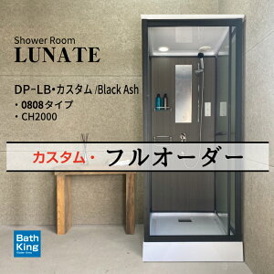 DP-L01B �V�����[���j�b�g 0808 �u���b�N�A�b�V�� �V�����[ �����Ȃ� ��890×���s940×����2200mm �u���^ ���C ���t�H�[�� �g���� �V�����[���[�� �u������ �V�����[BOX �I�V���� �X�^�C���b�V�� ����