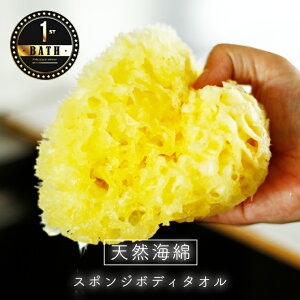 VRCȁux[jvinjRjiX|W {fBX|W VR oXX|W _炩 r  {fB^I Ags[ gu CȃX|W oYj Mtg oXOb