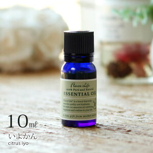 GbZVICut[o[CtiFlavor_Lifejvai悩^10mLjy{  A}IC a tOX ɗ\ kn t[c̍z