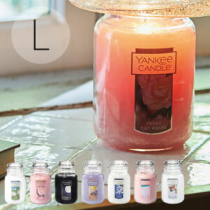 �A���}�u�����L�[�L�����h���vYC�W���[L�y�A���}�L�����h�� �L�����h�� �t���O�����X ���� �v�`�M�t�g �I�V�������� �v���[���g�z