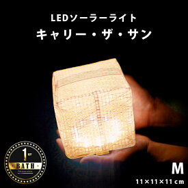 LEDソーラーライト「キャリー・ザ・サン（CARRY_THE_SUN）」ウォームライト（ミディアム／ホワイト）[CTSW-WHM]【バスルーム 防水グッズ 屋外 ガーデンライト アウトドア 携帯ライト 防災グッズ 防水 ソーラーLEDライト】