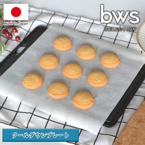 gCubws SELECTIONvN[_Ev[giW300×D200×H8mmj[KS-385077S]y{ ߂ eM MD M M ⓀHމ ȃXy[X Zz