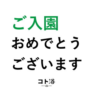 VoIuRgvwl֑m ߂łƂ܂ ny foX ێ v`Mtg Mtg v[g  i`  Yx E oXObY  j 