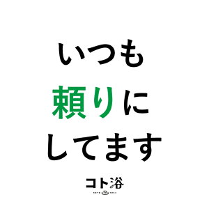 VoIuRgvy⓯ɑm ɂĂ܂ ny f fXp ێ v`Mtg Mtg  E oXObY  j  ӃMtg ΂܂ E 