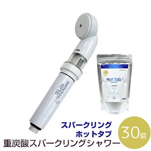 バス用品 炭酸 シャワーヘッドの人気商品 通販 価格比較 価格 Com