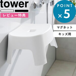 r[TI qpCCX s R }OlbgCCX ^[ LbYp SH13 t tower    zCg ubN 1852 1853 }Olbg  qp C ֎q q ǂ LbY `