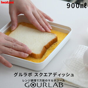 }\/Iwatani s O{ XNGAfBbV (Pi) t C^j ȒP Z GR dqW W W   NbJ[ X`[}[ ۑe obg  Vs w