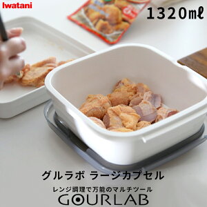 }\/ Iwatani s O{ [WJvZ (Pi) t C^j ȒP Z GR ȃGl  Vs wV[ dqW W W   X`[}[ pX^ ۑe d