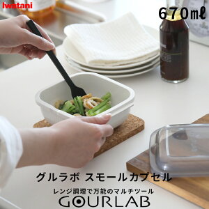 r[TI Iwatani s O{ X[JvZ (Pi) t C^j ȒP Z GR ȃGl  wV[ dqW W W   X`[}[ pX^ ۑe dq