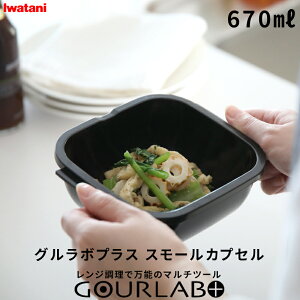 r[TI Iwatani s O{vX X[JvZ (Pi) t C^j ȒP Z ϔM ① Ⓚ wV[ dqW W W   NbJ[ X`[}[ ۑe H