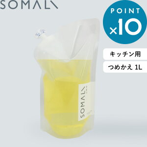 r[TI SOMALI ܂ s Lb`N[i[ l֗p 1000ml t 蔧ɂ₳ ΂ C  W VRf lߑւp ߂ tB N[i[ Lb`p VRI