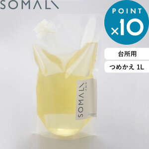 r[TI SOMALI ܂ s 䏊p΂ l֗p 1000ml t 蔧ɂ₳ ΂ Ό  t lߑւp ߂ tB VRf Y Hp 䏊p  Lb` I