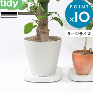 SZ[JÒ/ tidy s Plantable Liv^u [Wj t eBfB ubN uE zCg LX^[t   M 󂯎M gC g[ A LX^[tM ϗtA