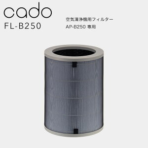 ubNtCf[/ cado(Jh[) s C@tB^[ FL-B250 t LEAF 250p pHEPAtB^[ \tB^[ J[gbW ւ t ւ AP-B250   jIC ԕ z