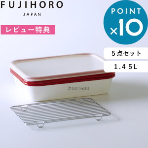 レビュー特典! 富士ホーロー 《 角型 揚げ物バット5点セット 》網 保存容器 食洗機可 フタ付き ホウロウ 天ぷら セット スクエア 揚げ物 角型 収納 食品保存 ガス フタ グラタン 水切り 直火