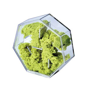 r[TI AuX^h s Cotton clay RbgNC t HATENALABO h concept DHL-060 A[g u  G _ IuWF fXN CeA  k 킢  