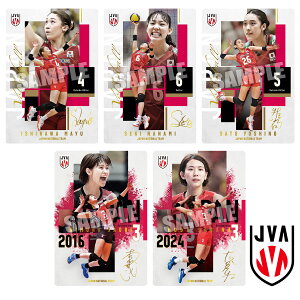 �y2026�N8������ �\�񏤕i�z�yBOX�zJAPAN NATIONAL VOLLEYBALL TEAM-���q���{��\ver.- �c�C���E�G�n�[�X 2026 20����i�H�߁j