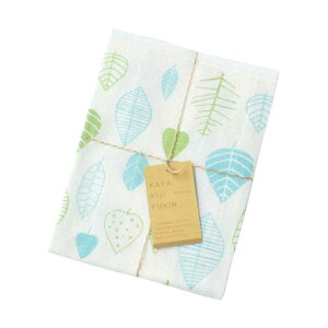 y3ȏwő ႢOKz{ cD vg␶nӂ z 100 Vv 킢 @ Ăӂ @ ڂ ݌ɗLΑ G Lb`p