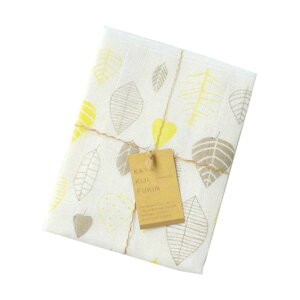 y3ȏwő ႢOKz{ cD vg␶nӂ z 100 Vv 킢 @ Ăӂ @ ڂ ݌ɗLΑ G Lb`p